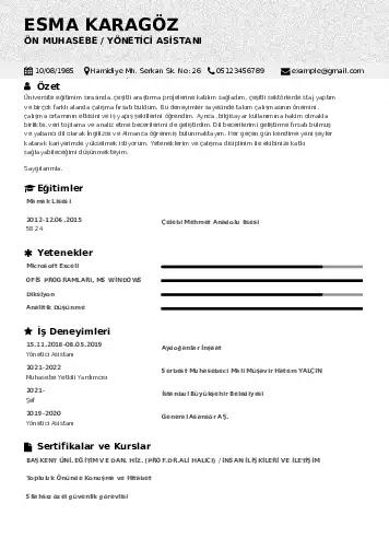 Yönetici Asistanı Cv Örnekleri cv indir